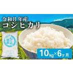 令和8年産 新米 こしひかり 10kg