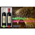 ワイン セット ルミエール 牛奥デラウェア