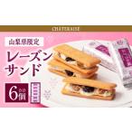 焼菓子 チョコレート シャトレーゼ レーズンサンド 6個