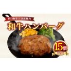 肉 ハンバーグ 1.5kg