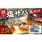 訳あり塩サバ フィレ250g