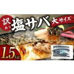 訳あり塩サバ フィレ1.5kg