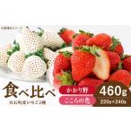 ふるさと納税 いちご 佐賀県 白石町  2026年1月以降発送 こころの色×かおり野 紅白いちごセット 計460g （こころの色220g、かおり野240g） StrawberryFarm-K …