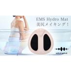 美容 WAVE EMS Hydro Mat LED