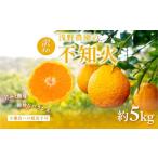 ふるさと納税 果物類 みかん 愛媛県 伊方町  先行予約 訳あり 不知火 計5kg 離島への配送不可（2026年2月中旬頃より順次発送予定） ふるさと納税 人気 おすす…