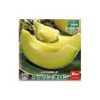 メロン 毎月定期便 訳あり クラウンメロン 1玉