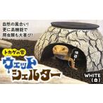 インテリア トカゲの家 ウェットシェルター
