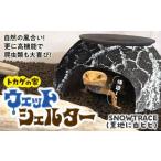 インテリア トカゲの家 ウェットシェルター