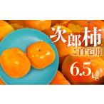 ふるさと納税 果物類 柿 愛知県 豊橋市 先行予約 生産量日本一 愛知県豊橋産 次郎柿 ご自宅用 6.5kg 柿 訳あり 不揃い 甘柿 果物 フルーツ 10月 11月 愛知県 …