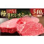 牛肉 ヒレ 11月中発送 京丹波姫牛 特選 極厚