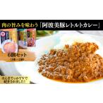 豚肉 カレー シチュー 017-013 肉の旨みを味わう