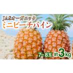 ふるさと納税 果物類 沖縄県 竹富町 2026年 先行予約 パイナップル ついに実現 転換期間中　JASオーガニック ミニピーチ 3kg (7〜8玉) 果物 フルーツ JASオー…