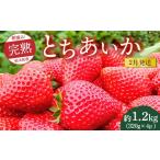 ショッピングふるさと納税 いちご ふるさと納税 いちご 栃木県 鹿沼市  先行予約 2月発送 朝摘み 完熟とちあいか 1280g（320g×4p）　 離島への配送不可　 2026年2月上旬〜2月下旬頃に順次発送…