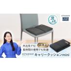 タオル 寝具 エアウィーヴ キャリークッションmini