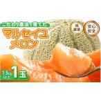ショッピングふるさと納税 メロン ふるさと納税 メロン メロン赤肉 福井県 坂井市  先行予約 安心安全 減農薬 こだわり農法で育てたマルセイユメロン 1玉 (1玉あたり：1.3kg以上) 2026年6月中旬…