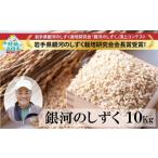 ふるさと納税 玄米 岩手県 陸前高田市 令和7年度産 先行予約 新米 銀河のしずく 玄米 10kg 海の見える農園で作った玄米 米 お米 ブランド米 岩手県 オリジナ…