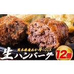 肉 産あか牛100%生ハンバーグ 140g×12個