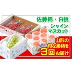 ぶどう マスカット 定期便3回 フルーツ王国山形