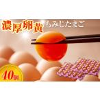 濃厚卵黄もみじたまご