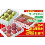 梨 定期便3回 フルーツ王国山形 生産量日本一セット
