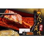 うなぎ うなぎ料理 柳屋 蒲焼 200g×3尾