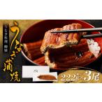 うなぎ うなぎ料理 柳屋 蒲焼 222g×3尾
