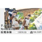 fu.... налог body . билет Chiba префектура . брать город пустыми руками .OK THE FARM. .. овощи .. body . талон (1 пакет ) TFM005