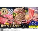 牛肉 肉 産北さつま 高崎牛 プレミアムセット 2.2kg