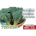 野菜類 JA 冷凍ブロッコリー12袋 ブロッコリー