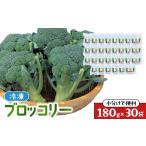 野菜類 JA 冷凍ブロッコリー30袋 ブロッコリー