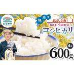 無洗米 新米 令和8年産 小山野産 コシヒカリ 4合