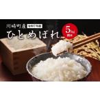 ふるさと納税 米 ひと