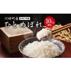 ふるさと納税 米 ひと