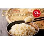 ふるさと納税 米 ひと