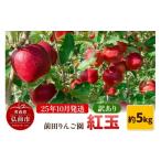 ショッピングふるさと納税 訳あり 傷 ふるさと納税 りんご 青森県 弘前市  25年10月発送 りんご 訳あり 紅玉 約5kg 前田りんご園