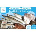 旬の鮮魚等 定期便 鮮度抜群 旬の鮮魚おまかせセット