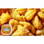 ふるさと納税 ウニ 北海道 小樽市 生うに 100g うに ウニ キタムラサキウニ 塩水パック 魚介類 水産物 海産物 海鮮 ホイル焼き 茶わん蒸し パスタ うに鍋 うに…