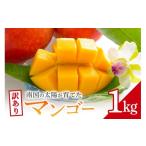 ショッピングふるさと納税 マンゴー ふるさと納税 マンゴー 沖縄県 糸満市  先行予約 2026年発送 訳ありマンゴー 1kg 沖縄県産 マンゴー 訳あり 1キロ 訳アリ 国産 完熟マンゴー 果物 南国 くだも…