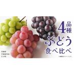 ぶどう 4品種 食べ比べ 共通返礼品:大子町