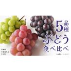 ぶどう 5品種 食べ比べ 共通返礼品:大子町