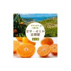 ショッピング甘平 ふるさと納税 みかん・柑橘類 愛媛県 八幡浜市  発送月固定定期便 愛媛限定栽培 甘平3kg×せとか2kg H25-271 全2回 4071372