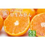 果物類 みかん 早生みかん 約6kg