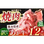 牛肉 焼肉 バーベキュー 定期便3回 あか牛