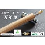文房具 玩具 万年筆 クリプトメリア マグネットキャップ