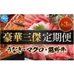 マグロ 新登場 豪華三傑 定期便 全3回 うなぎ