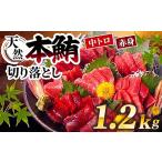 惣菜 レトルト 冷凍 天然本マグロ 中とろ 赤身