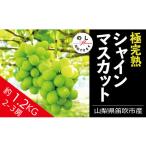 ふるさと納税 ぶどう マスカット 山梨県 笛吹市 2026年発送 先行予約 絶品 シャインマスカット 2-3房約1.2kg 090-004-26y | シャインマスカット 発送 丸章青…