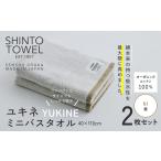 タオル 寝具 バスタオル SHINTO TOWEL