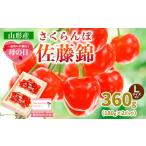 ふるさと納税 果物類 さくらんぼ 山形県 山形市 一足先にお届け 母の日 さくらんぼ佐藤錦360gLサイズ以上(180g×2パック) 令和8年産先行予約 FS25-013