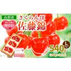 ふるさと納税 果物類 さくらんぼ 山形県 山形市 一足先にお届け 母の日 さくらんぼ佐藤錦540gLサイズ以上(180g×3パック) 令和8年産先行予約 FS25-014